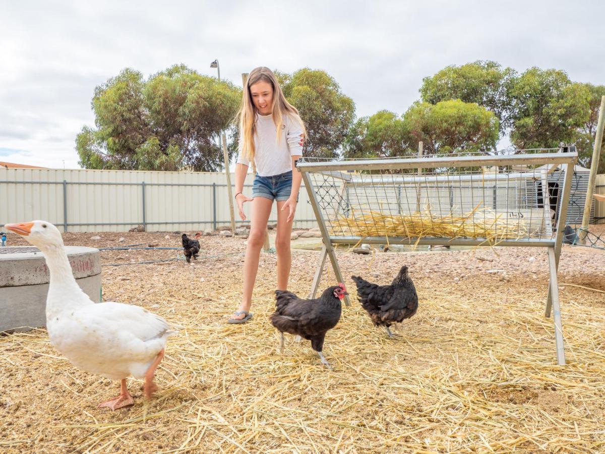 Wallaroo Holiday Park Luaran gambar